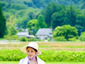 田んぼや畑を耕す田舎妻　大増量３６人　８時間　サンプル画像04
